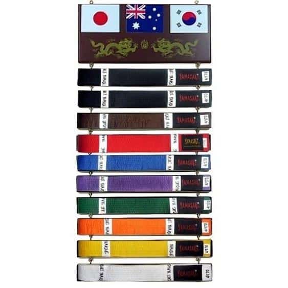 Wall-mounted Martial Arts Belt Display Cabinet With, 58% OFF